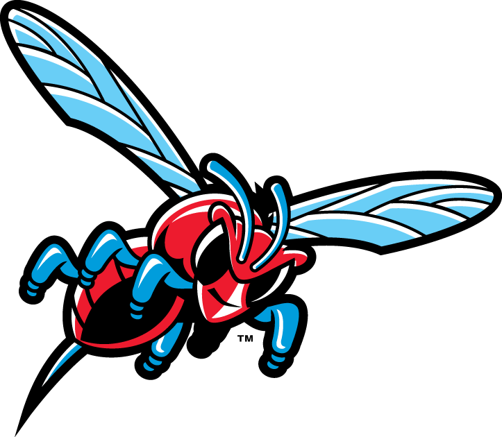Delaware State Hornets 2004-Pres Misc Logo v2 diy iron on heat transfer